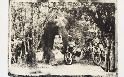 Ausgefallenes Fotogeschenk